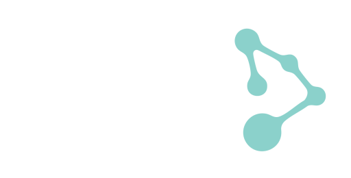 Web & Data Solutions